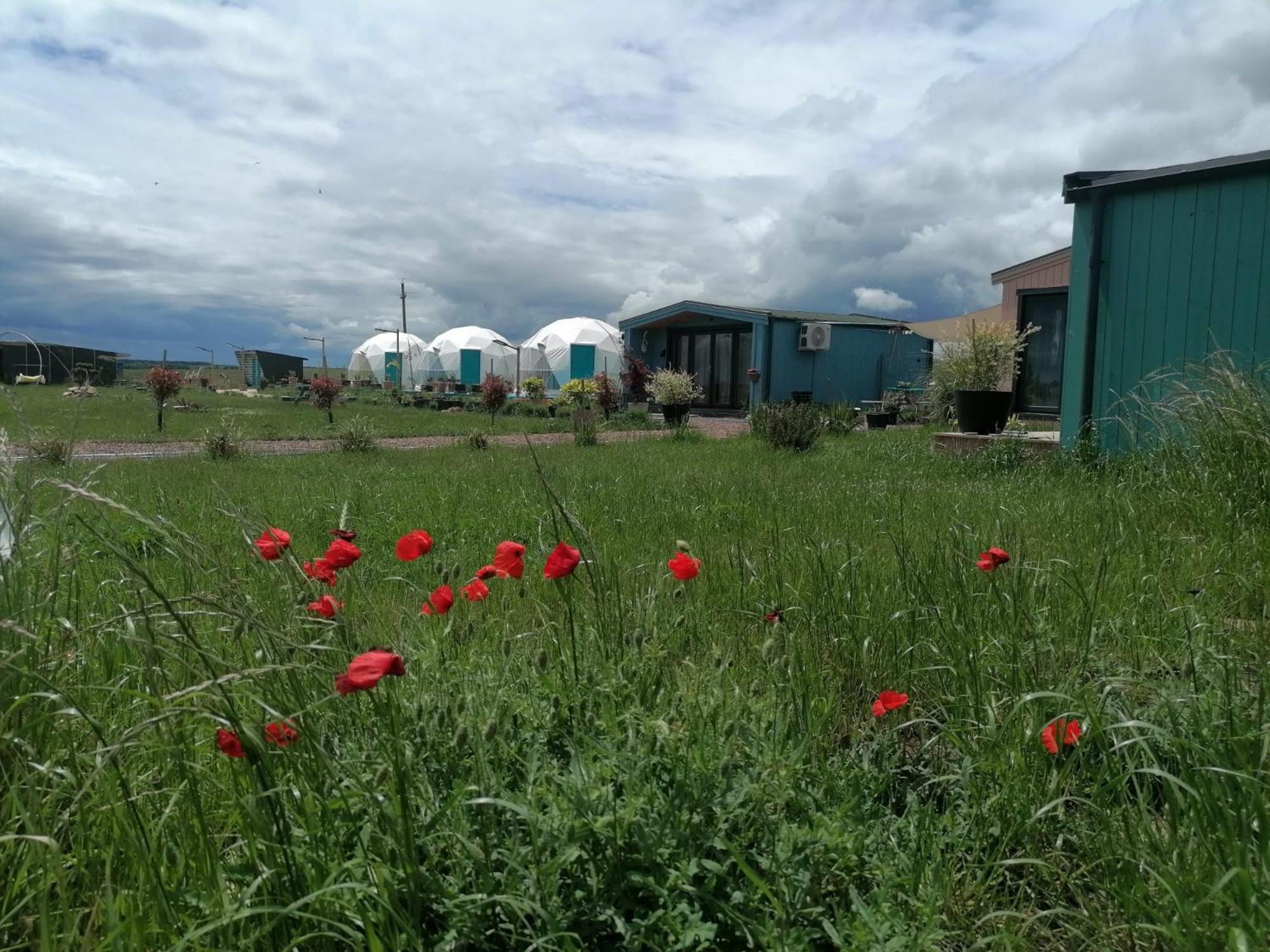 Mar A Lago Glamping23 Douăzeci şi Trei August 外观 照片